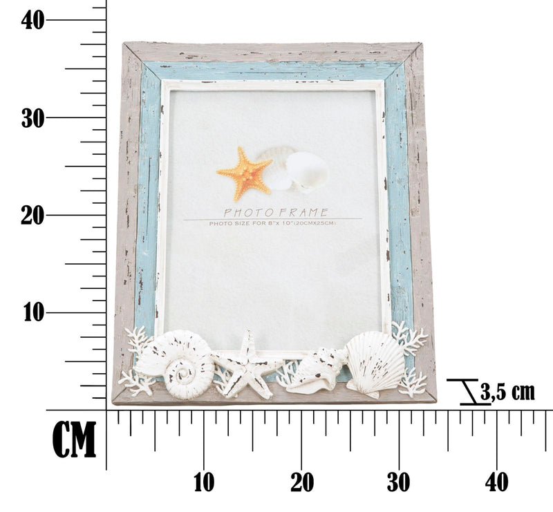 Cornice Seashell 33,5x3,5x38,5 cm in Poliresina-7