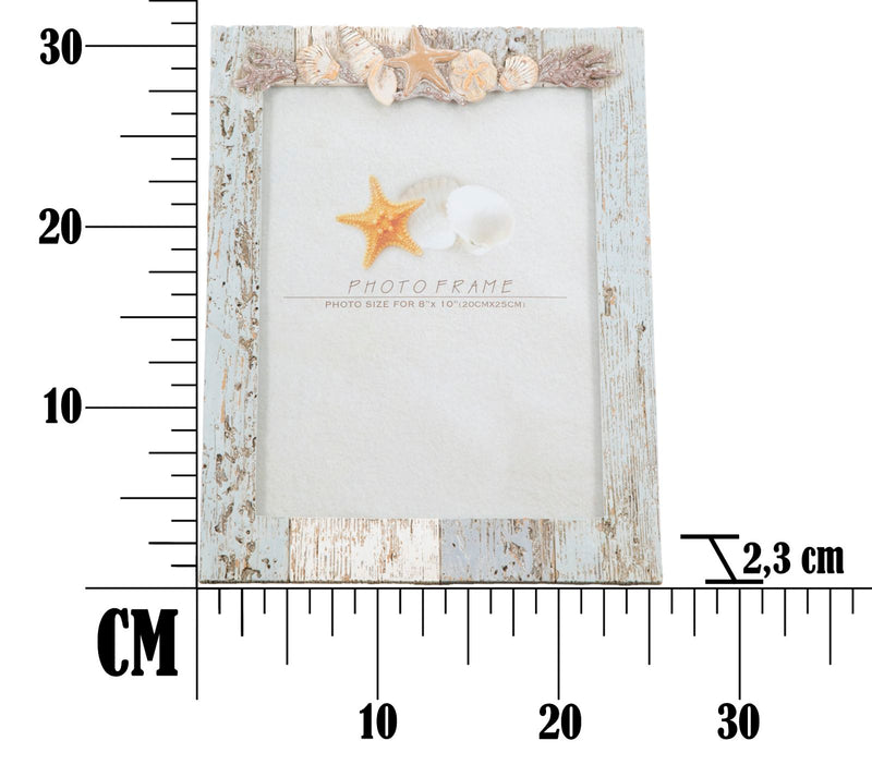 Cornice Shell 25,5x2,3x31,5 cm in Poliresina-7
