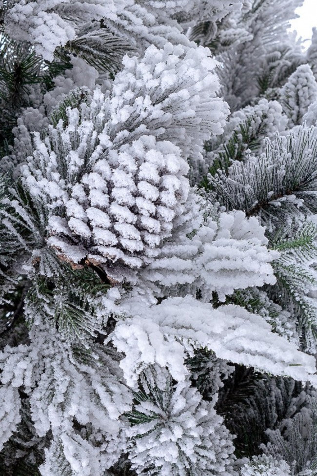 Mini Albero di Natale Artificiale H45 cm Abetone con Sacco e Neve 40 Tips  Verde – acquista su Giordano Shop