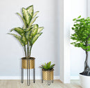 Set 2 Portavasi Ø21x40-19x22 cm in Metallo Nero e Oro-5