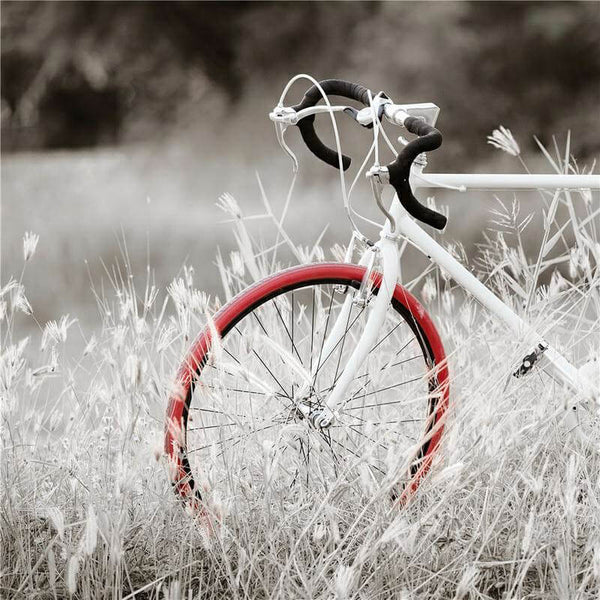 Quadro Dipinto con Bicicletta Rossa 60x60 cm in Tela Multicolor prezzo