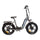 Fat-Bike Bicicletta Elettrica Pieghevole 36V a Pedalata Assistita 20