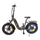 Fat-Bike Bicicletta Elettrica Pieghevole 36V a Pedalata Assistita 20