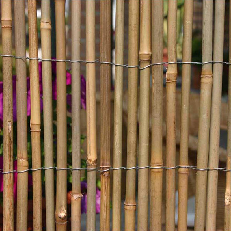 Arella Frangivista da Giardino in Bamboo 1,5x3m Rama Canes Naturale-3