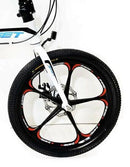 Bicicletta Pieghevole 20" in Alluminio Ruote in Lega Bianco e Azzurro-2