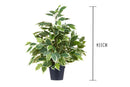 Ficus Artificiale con Vaso Altezza 55 cm Verde-2