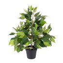 Ficus Artificiale con Vaso Altezza 55 cm Verde-1