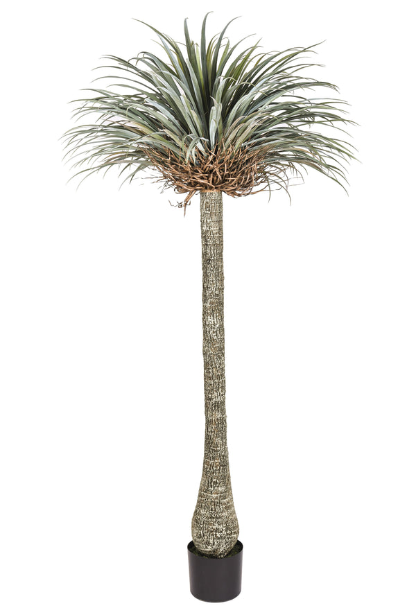 online Yucca Artificiale con Vaso Altezza 225 cm