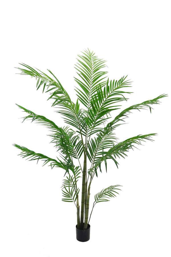 prezzo Areca Palm Artificiale con Vaso Altezza 185 cm Verde