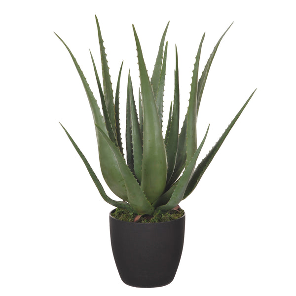 sconto Aloe Artificiale con Vaso, 24 Foglie Altezza 70 cm Verde