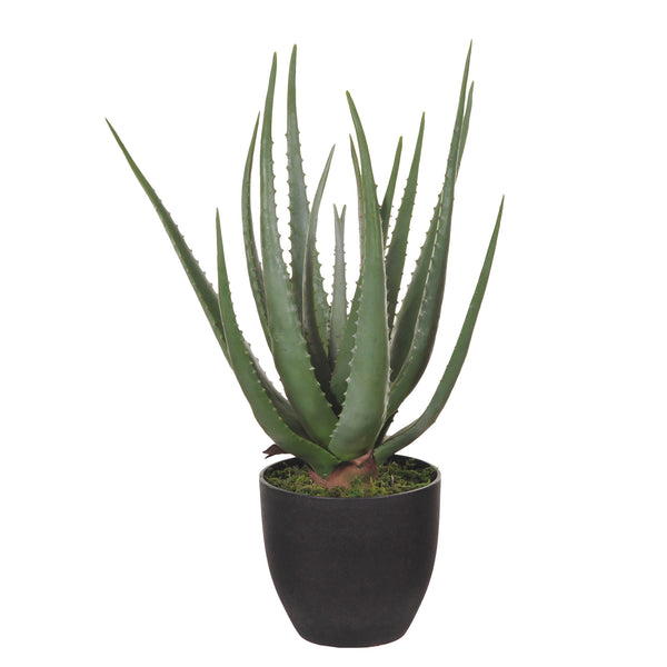 Aloe Artificiale con Vaso, 17 Foglie Altezza 55 cm Verde prezzo