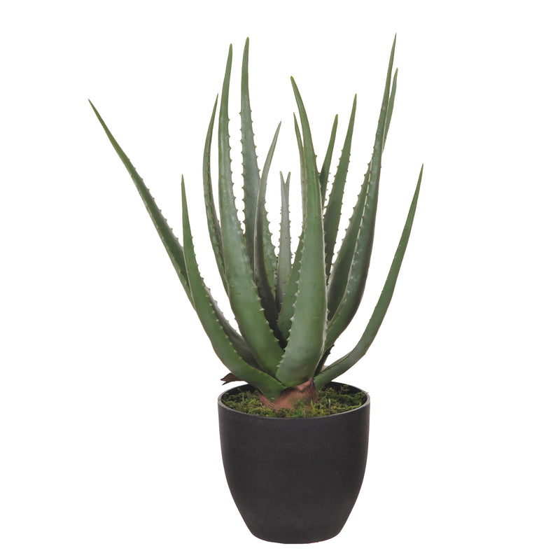 Aloe Artificiale con Vaso, 17 Foglie Altezza 55 cm Verde-1