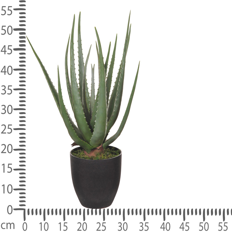 Aloe Artificiale con Vaso, 17 Foglie Altezza 55 cm Verde-3