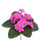 Set 6 Cespugli Artificiali di Violetta Altezza 21 cm Rosa