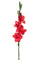 Set 4 Fiori Artificiali di Gladiolo Altezza 85 cm Rosso