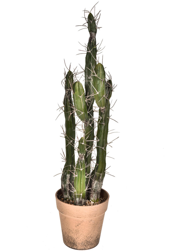 Pianta di Cactus Artificiale con Vaso Altezza 61 cm Verde acquista