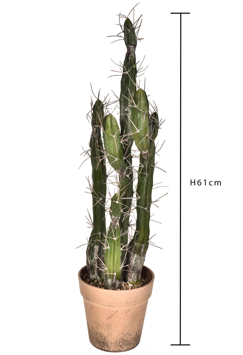 Pianta di Cactus Artificiale con Vaso Altezza 61 cm Verde – acquista su  Giordano Shop