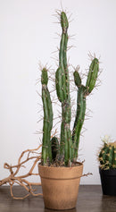Pianta di Cactus Artificiale con Vaso Altezza 61 cm Verde-5