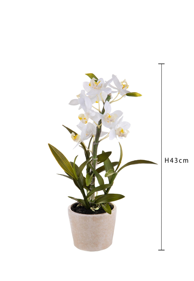 Orchidea Artificiali con Vaso Altezza 43 cm Bianco – acquista su Giordano  Shop