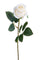Set 12 Rose Artificiali Boccio 65 cm Bianco