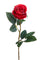 Set 12 Rose Artificiali Boccio 65 cm rosso