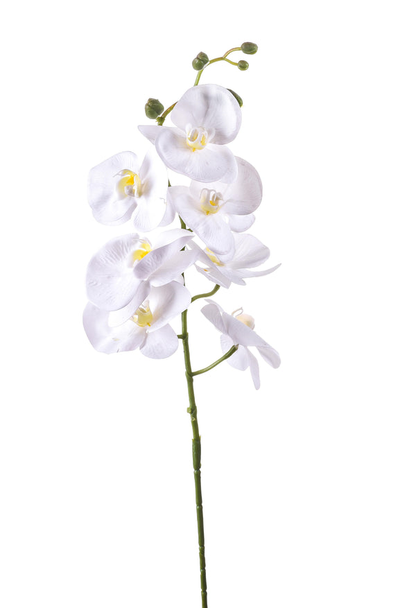acquista Set 6 Phalaenopsis Artificiali con 7 Fiori Altezza 96 cm Bianco
