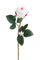 Set 12 Rose Artificiali Boccio 65 cm Beige