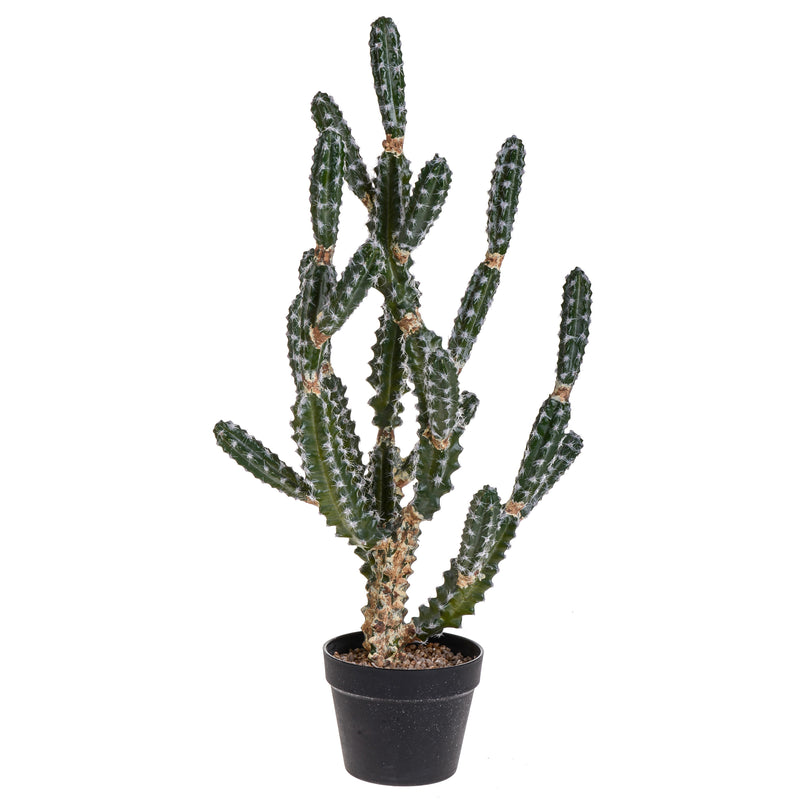 Cactus Euphorbia Artificiale con Vaso Altezza 84 cm -1