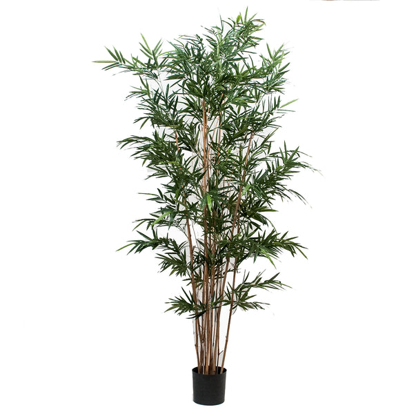 sconto Bamboo Royal Artificiale a 7 Diramazioni con Vaso Altezza 210 cm Verde