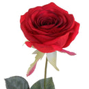 4 Rose Artificiali Aperta Altezza 74 cm Rosso-3