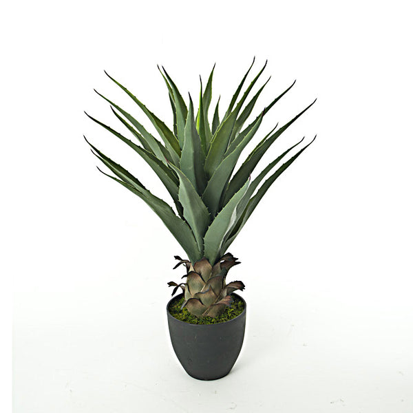 Aloe Artificiale con 27 Foglie Altezza 73 cm Verde prezzo