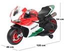 Moto Elettrica per Bambini 12V con Ducati 1299 Panigale Bianca Rossa e Verde-5