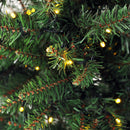 Albero di Natale Artificiale 210 cm 700 Luci LED Verde -9