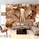 Fotomurale - Stone Elephant South Africa 300X210 cm Carta da Parato Erroi-1