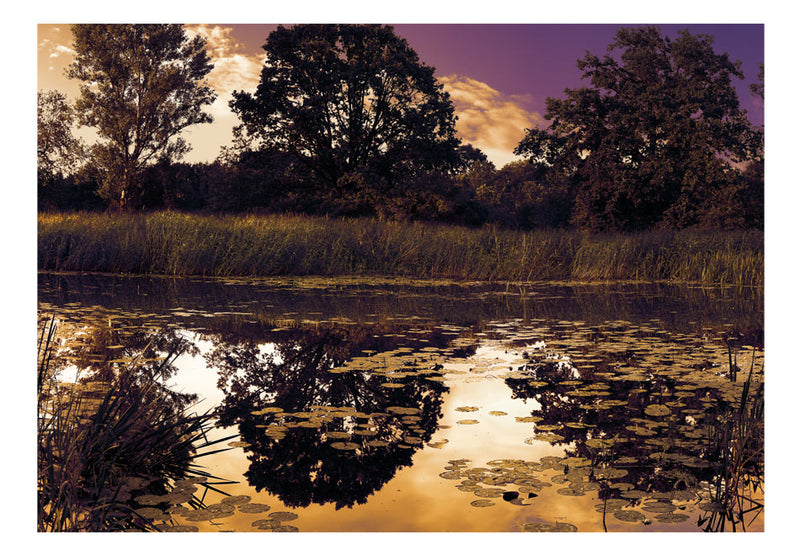 Carta da Parati Fotomurale - The Fairytale Lake 100x70 cm Erroi-2