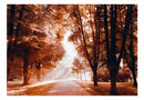 Carta da Parati Fotomurale - Autumn Park 100x70 cm Erroi-2