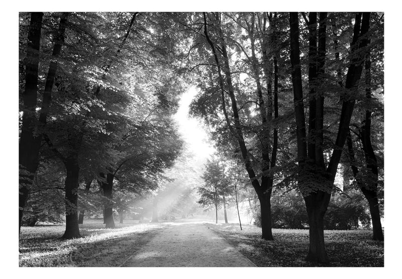 Carta da Parati Fotomurale - Path Of Memories 100x70 cm Erroi-2