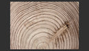 Fotomurale - Cerchio D'Albero 400X280 cm Carta da Parato Erroi-2