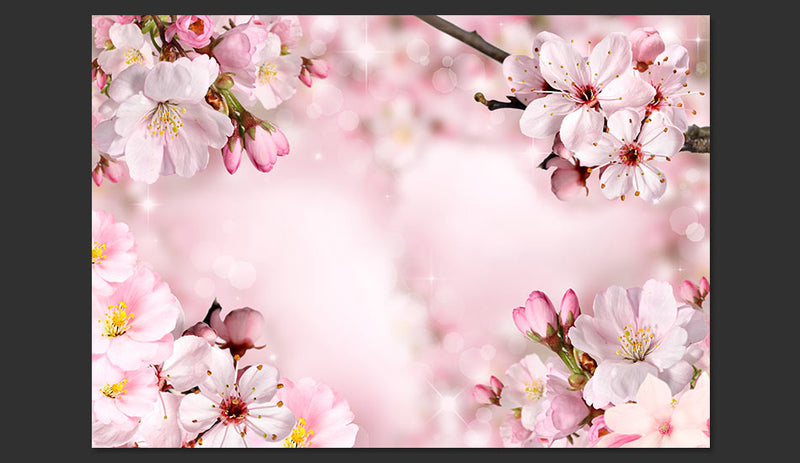 Fotomurale - Spring Cherry Blossom 400X280 cm Carta da Parato Erroi-2