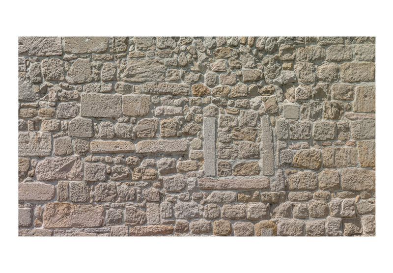 Carta da Parati Fotomurale XXL - Stone Temple 500x280 cm Erroi-2