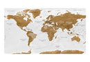 Carta da Parati Fotomurale XXL - World Map - White Oceans II 500x280 cm Erroi-2