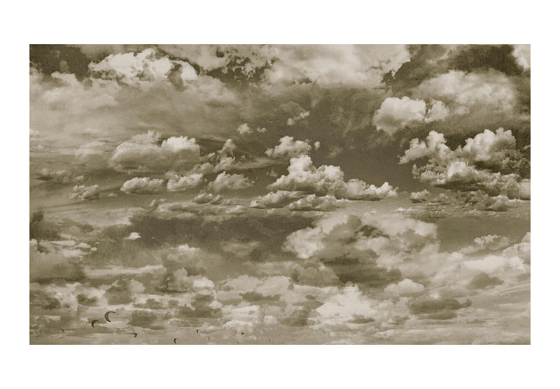 Carta da Parati Fotomurale - Sky Is Falling 450x270 cm Erroi-2