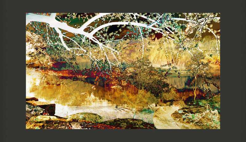 Fotomurale - River Of Life 450X270 cm Carta da Parato Erroi-2