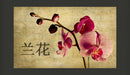 Fotomurale - Japanese Orchid 450X270 cm Carta da Parato Erroi-2