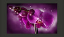 Fotomurale - Favola e Orchidea 450X270 cm Carta da Parato Erroi-2