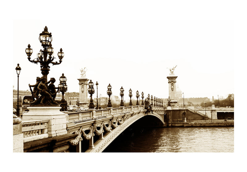 Carta da Parati Fotomurale - Il Ponte di Alessandro III, Parigi 450x270 cm Erroi-2