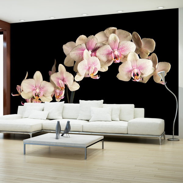 prezzo Carta Da Parati Fotomurale - Orchidea In Fiore 450x270cm Erroi
