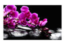 Carta da Parati Fotomurale - Momento di Relax - Un'Orchidea e Pietre Zen 450x270 cm Erroi-2