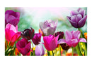 Carta da Parati Fotomurale - Un Giardino a Primavera con Tulipani 450x270 cm Erroi-2