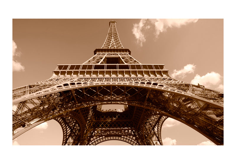 Carta da Parati Fotomurale - Torre Eiffel in Seppia 450x270 cm Erroi-2
